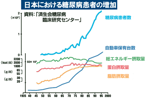 日本における糖尿病患者の増加